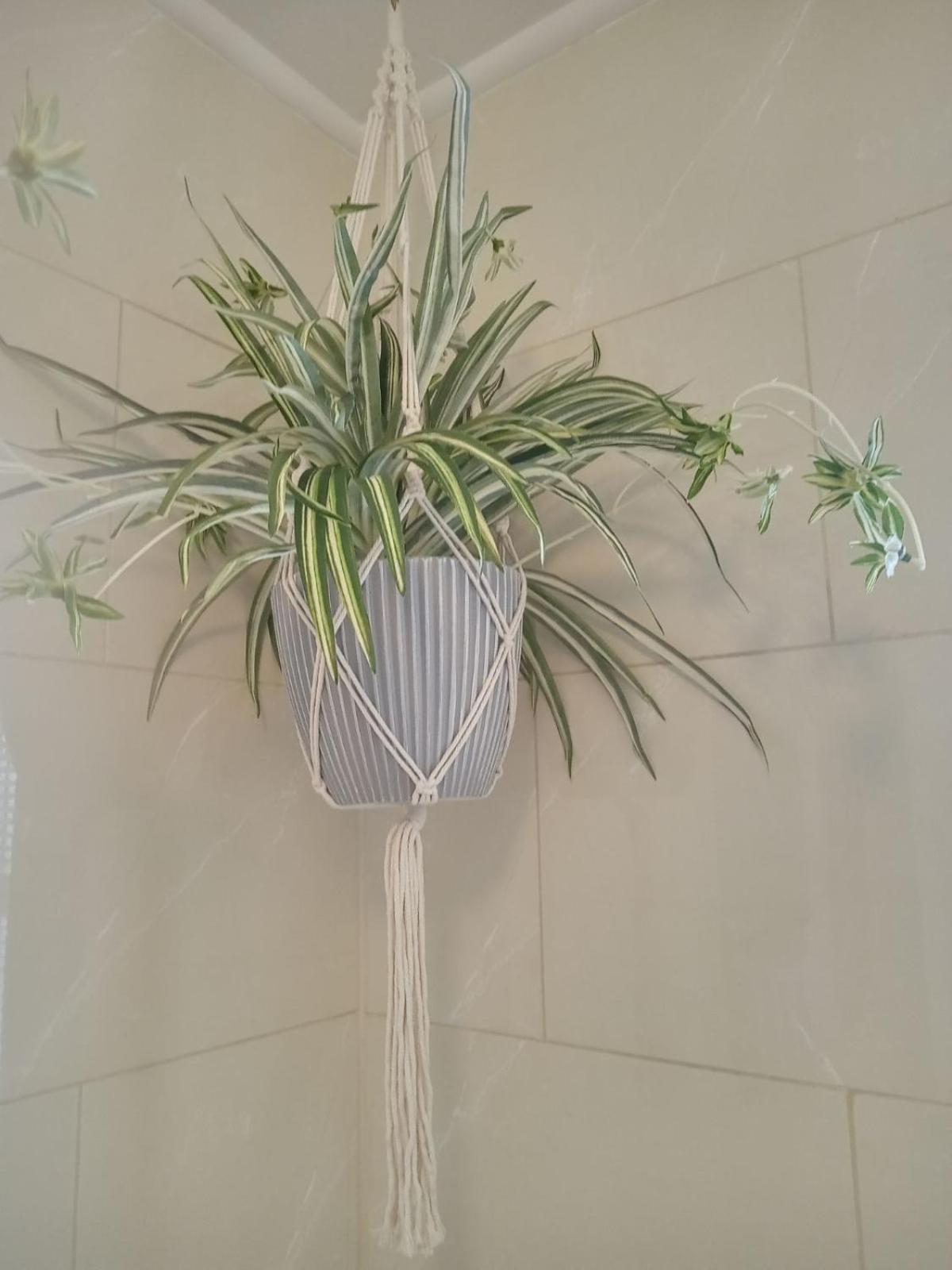 El Roi Guest Accommodation Γουότερφορντ Εξωτερικό φωτογραφία